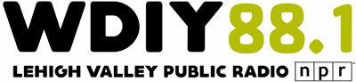 WDIY Promo Store 